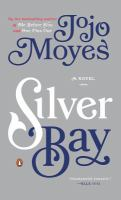 Silver_Bay